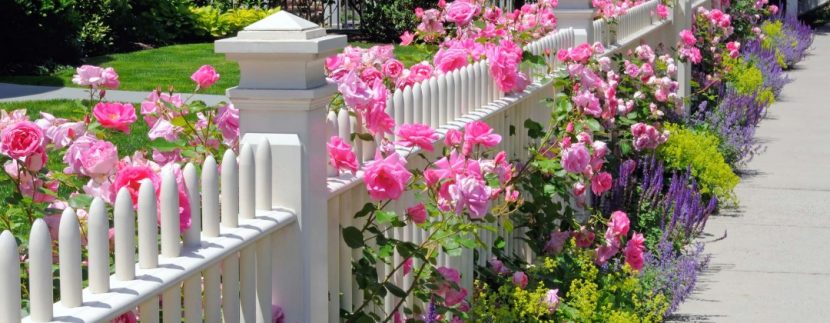 home - fence