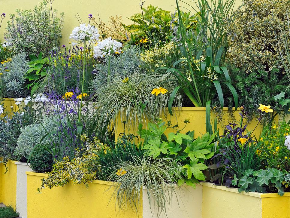 Container and Small-Space Gardening - Arms &McGregor International Realty®