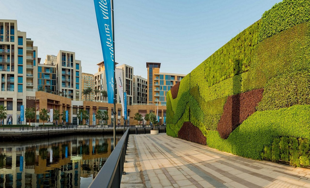 Living green wall