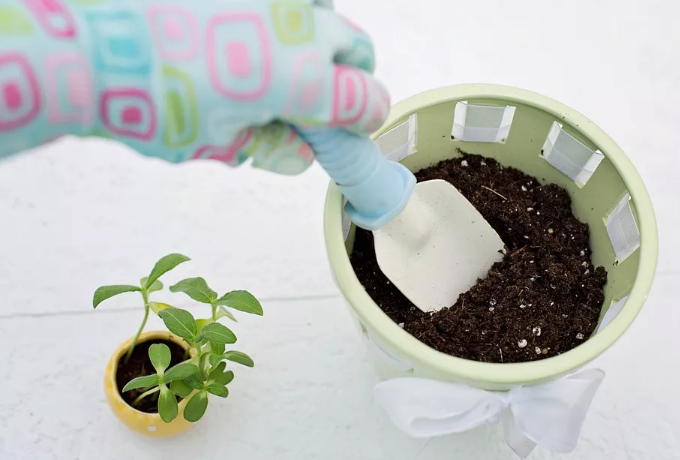 Pot gardening